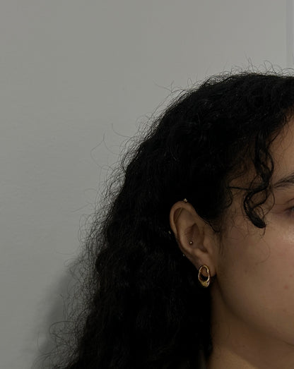 Pair Earrings