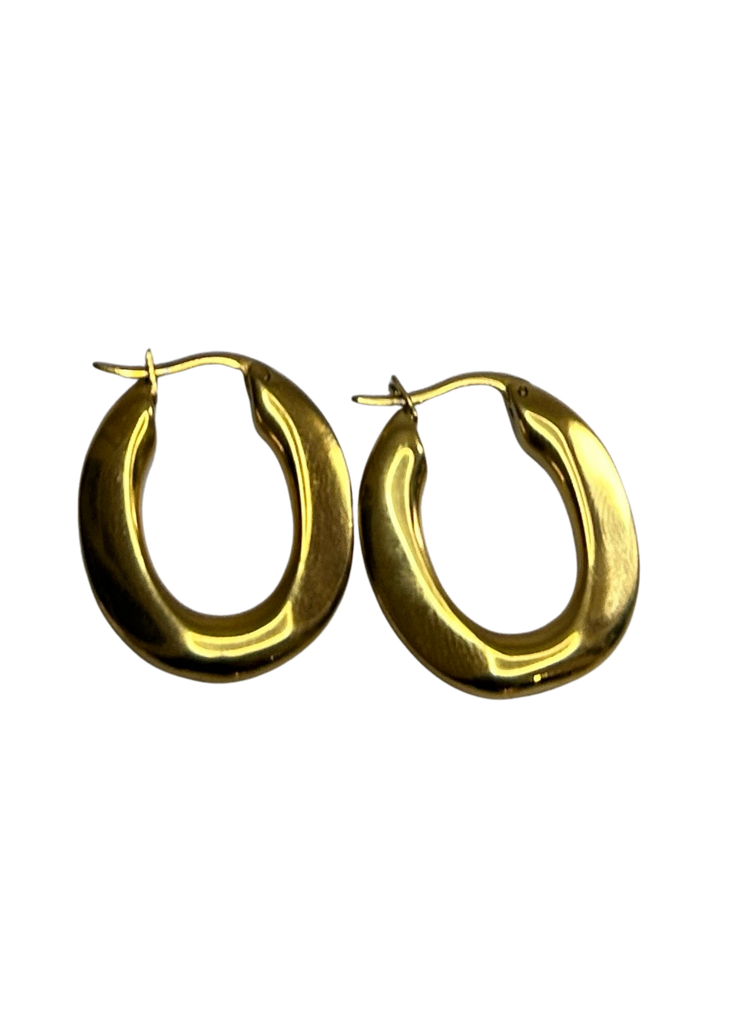 Glossy Oval earrings